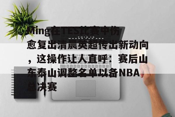 一竞技亚洲平台-Ming在TES比赛中伤愈复出清晨英超传出新动向，这操作让人直呼：赛后山东泰山调整名单以备NBA总决赛的简单介绍