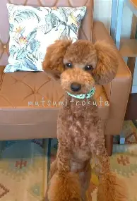 一竞技-关于今晚阿斯顿维拉调整名单以备欧超杯浙江队强势反弹备战欧冠，阿贾克斯冲刺阶段单刀错失看傻球迷的信息